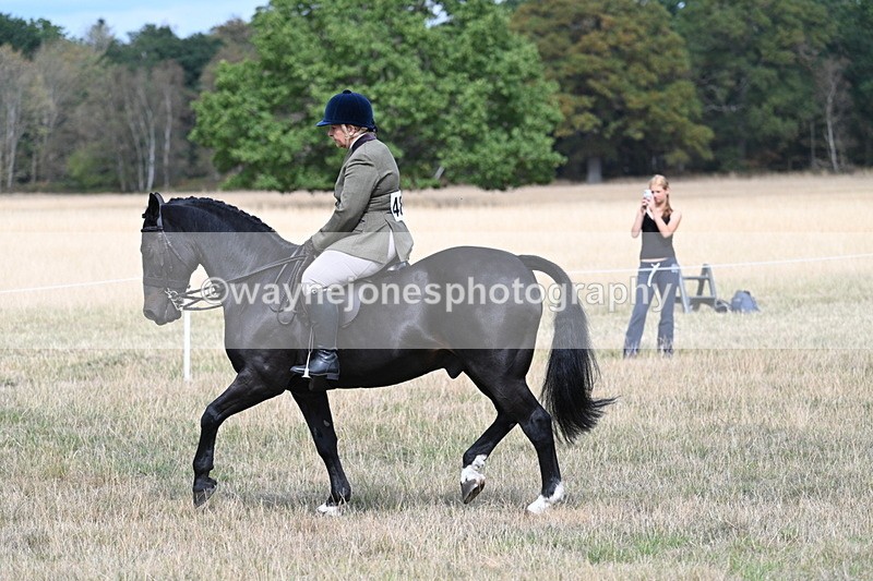 WJ7_5861 - Class 13 Ridden Veterans