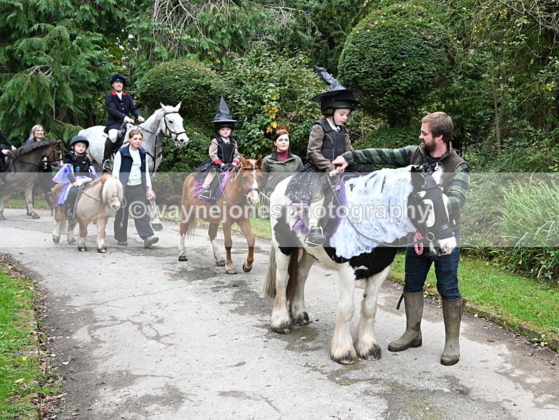 WJ7_6616 - Berks & Bucks - Children's Meet - The Old Farmhouse – Steventon.