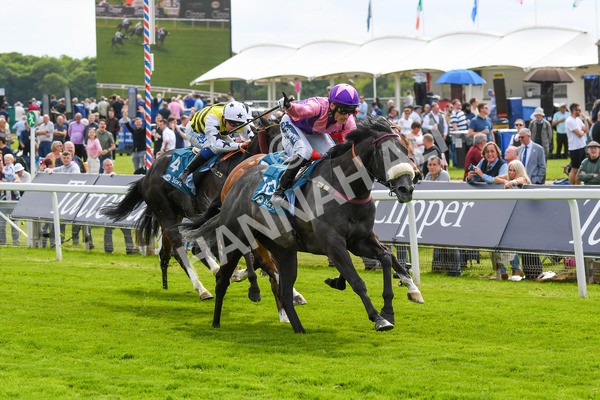 170523-Race 3-Azure Blue-0457 - Race 3 3.00pm 1895 Duke of York Clipper Logistics Stakes