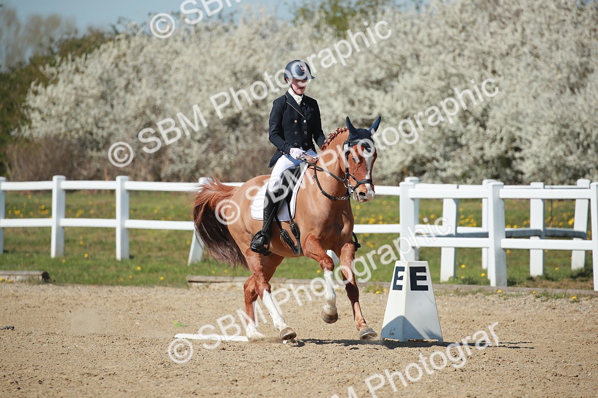 SJ3_1317 - Class 8 - E5