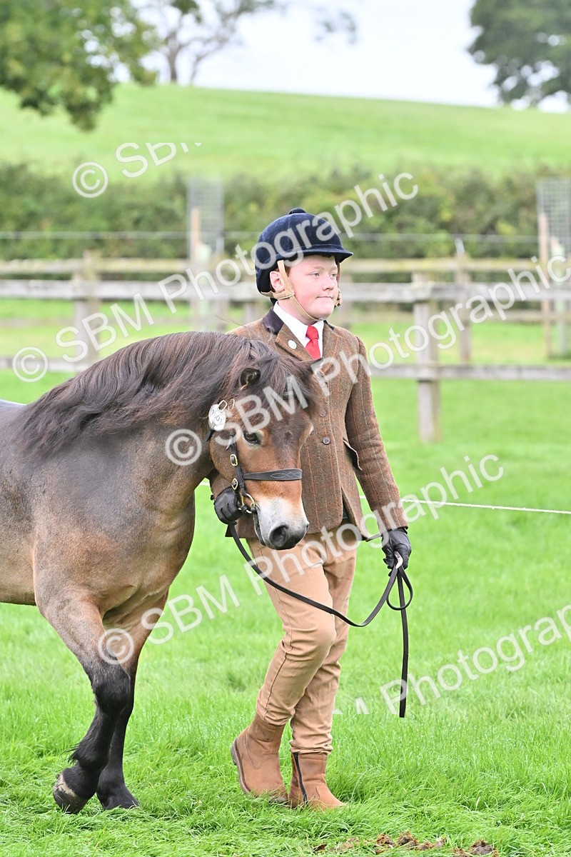 SBM_60919 - S48 - Mountain & Moorland In Hand Small Breeds