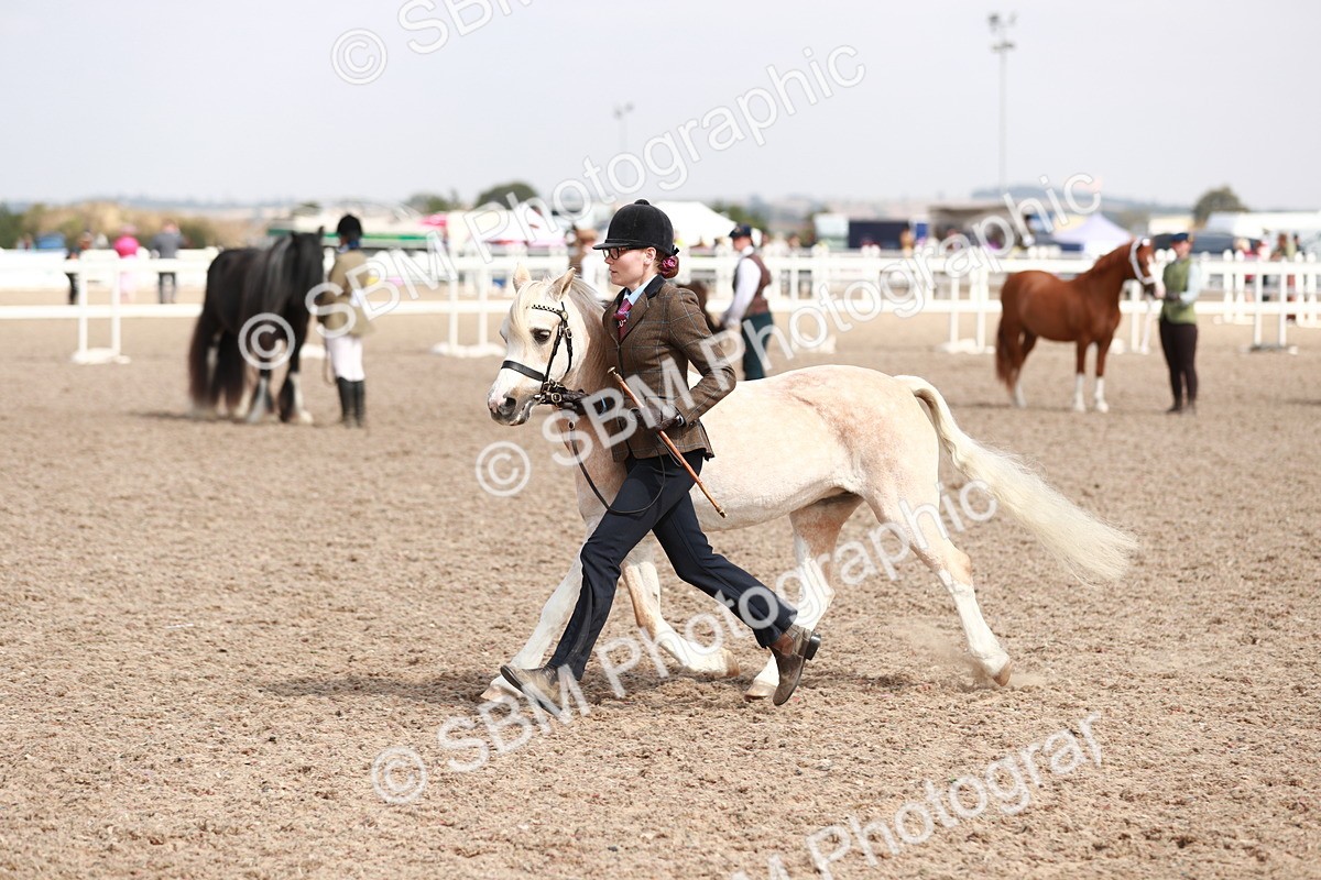 SBM_13940 - Class 209 IH Veteran Pony