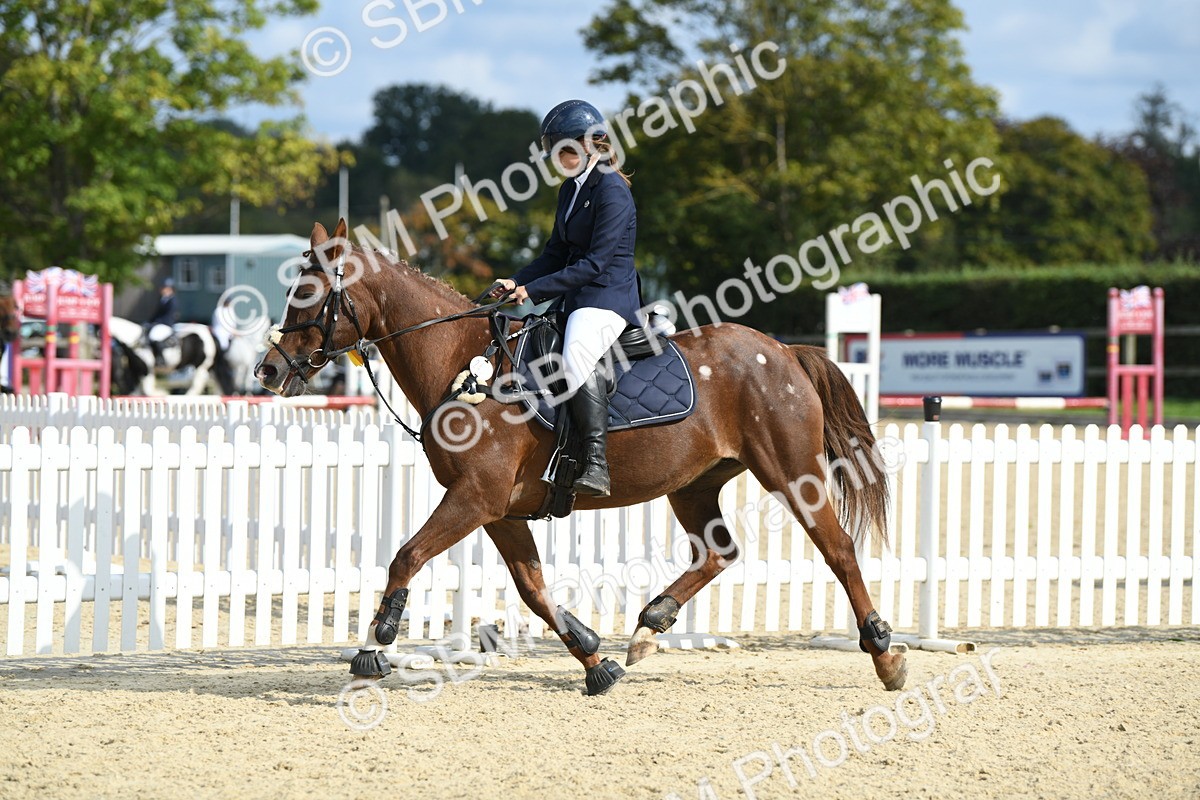 SBM_61834 - j25 - Junior Horse 80cm Championship