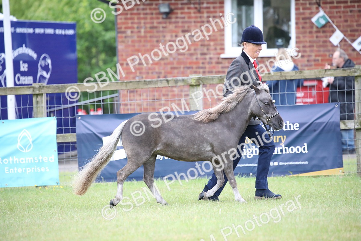 SBM_03869 - Class 23-25 - British Miniature Horse of the Year