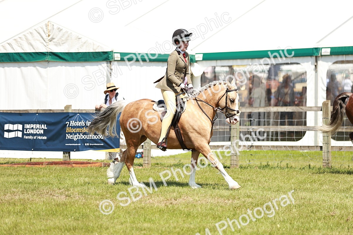 SBM_15757 - Class 108-109 - BSPS LIHS Open Gradle & Nursery Stakes