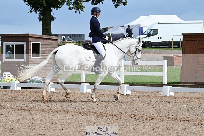 250907-131336-10018 - 002-Claire.JonesOwl.House.Rebel