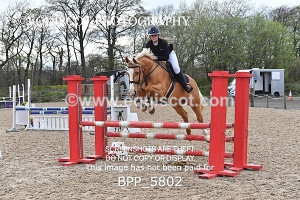 BPP_5802 - CLASS 24 SUN Senior British Novice/ 90cm Open