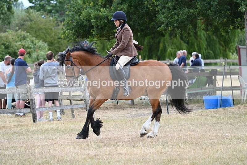 WJ7_0576 - Class 6 Ridden Mountain and Moorland