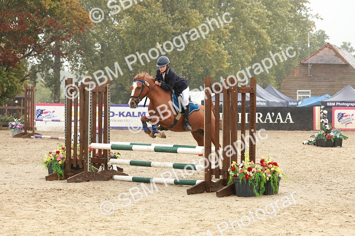 SBM_73351 - Supreme Championship Junior Pony 60cm & 65cm