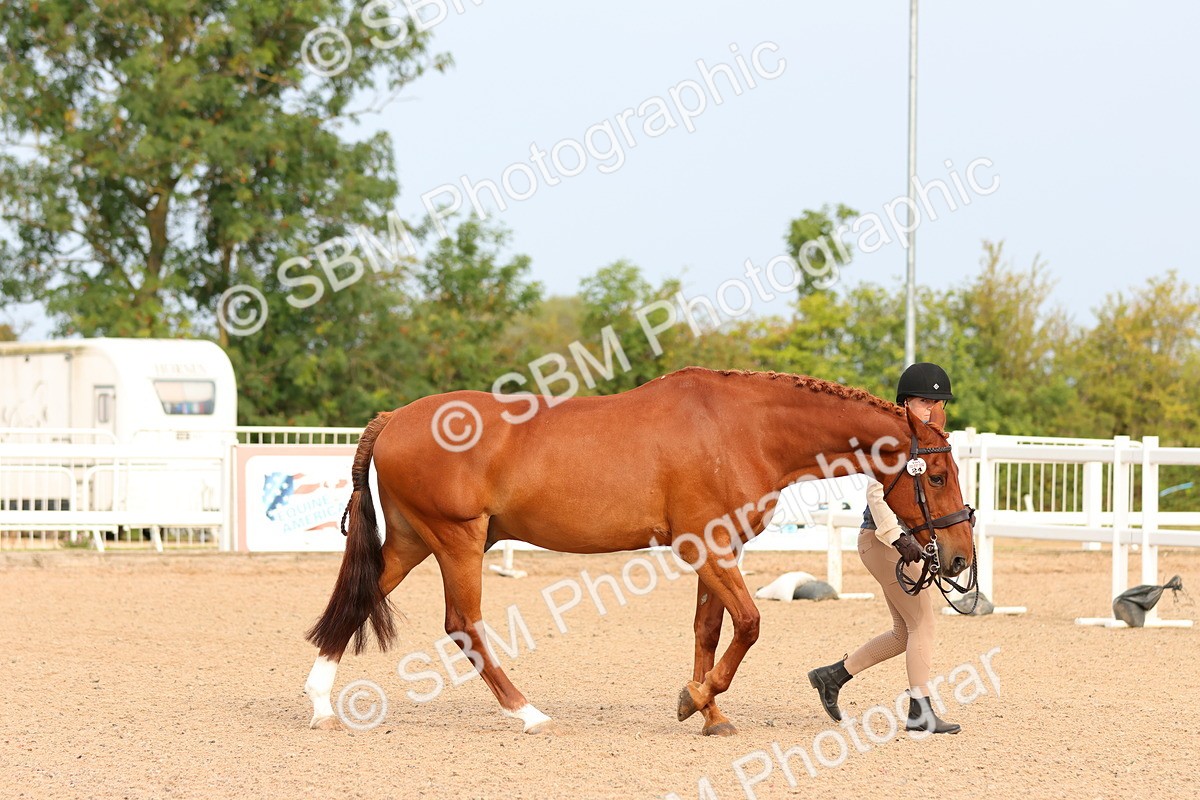 SBM_16587 - Class 702 - IH Show Horse - Pony