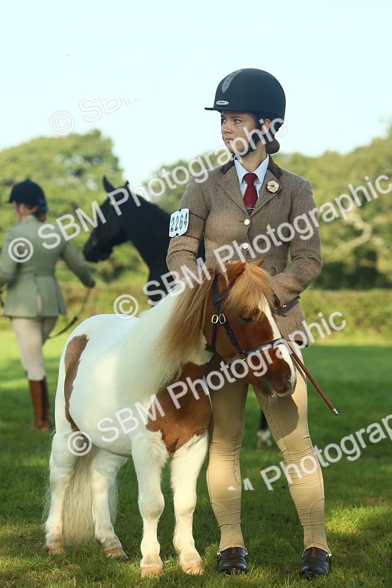 SBM_58588 - S37 - Starters In Hand Showing