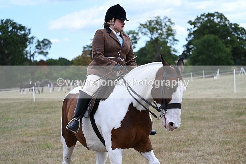 WJ7_5315 - Class 12 Ridden Cob