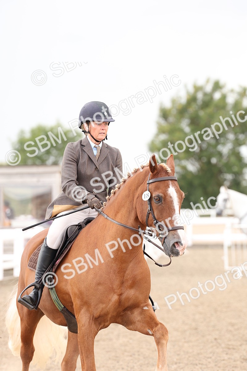 SBM_07485 - Class 59a -  Style & Performance - 80cm (15-19)