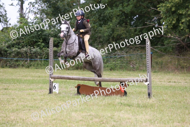 20260614-3122 - Class 22 - Open Working Hunter