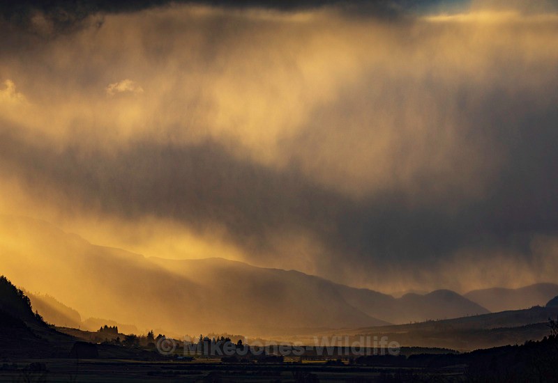 CAIRNGORM LANDSCAPE 2025 20 - Latest projects, Cairngorms Deer, Boxing Hares, Landscapes...North Wales, Birds