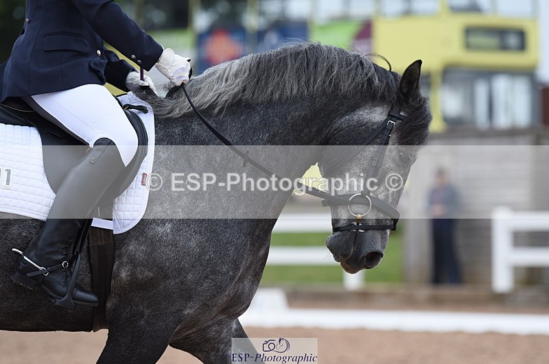 230708A-103858-01422 - Prelim 7