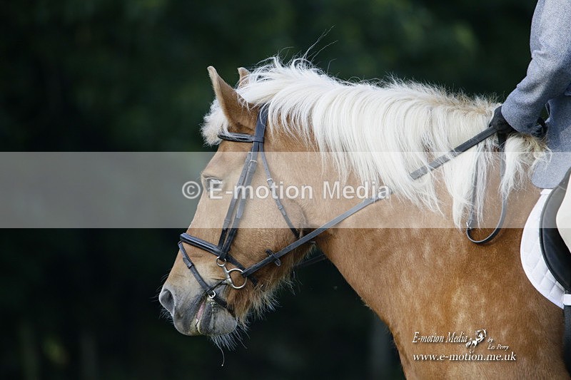 BVRC 120921 87 - Bourne Valley Riding Club UA Dressage & Show Jumping 12/09/21