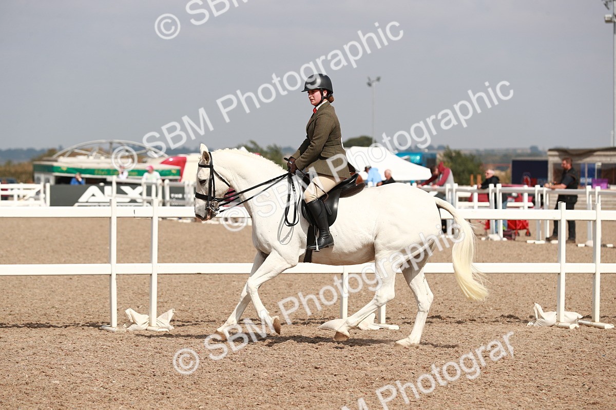 SBM_14854 - Class 212 Ridden Hunter - Small