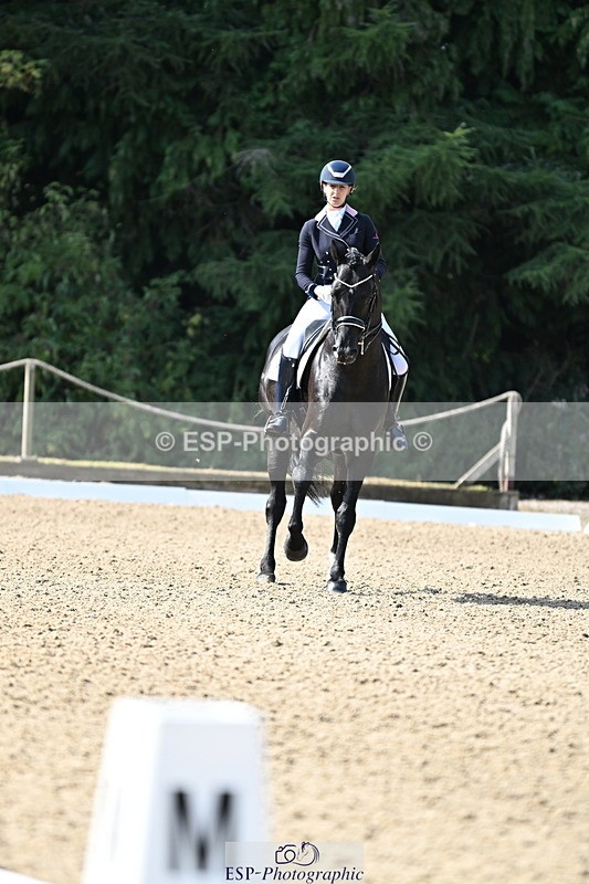 250810A-101316-05063 - 132-Rebecca.CowderoyNights.Dream