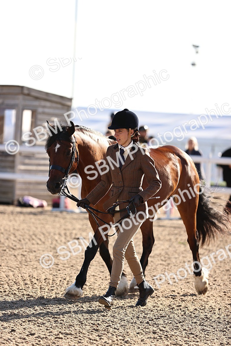 SBM_08480 - Class 402 - IH Veteran Pony