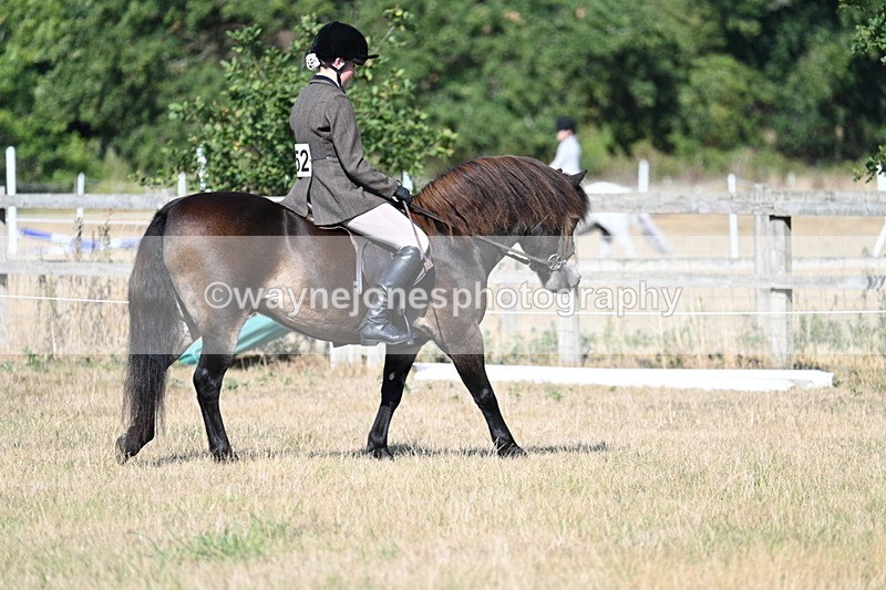 WJ7_3128 - Class 8 Ridden Tack & Turnout