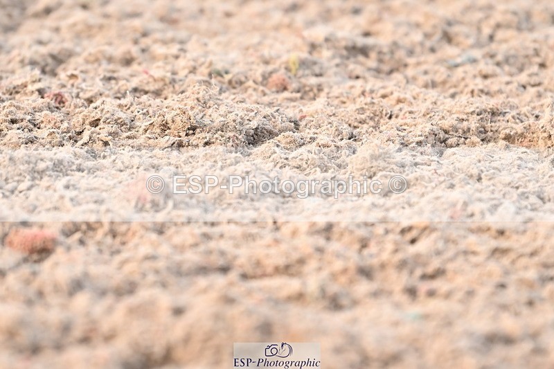 240324A-155840-04685 - Novice 28, 15.33 to 16.15