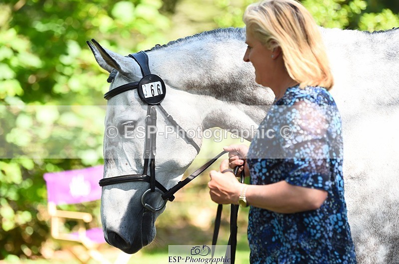 230524-153724-00399 - 366-KILMINGTON_FOLLY-Kristina_Cook-WEDTrotUp+DR