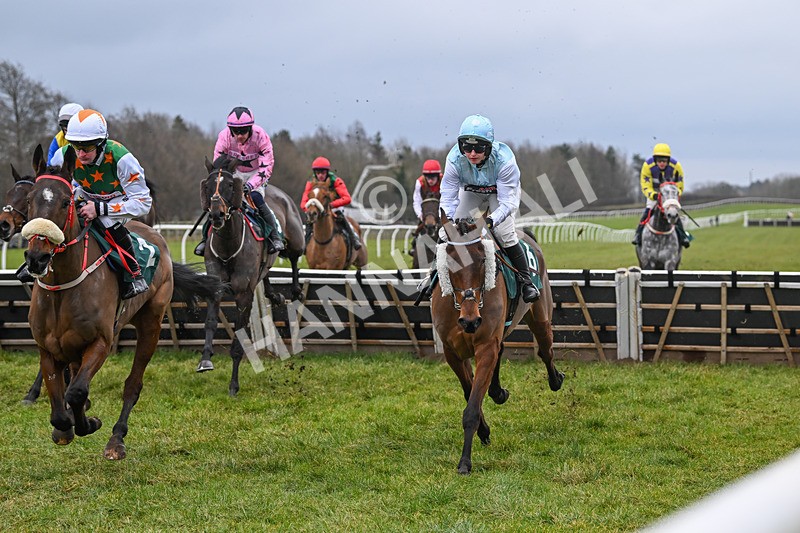 100225-Race 1-Tigerbythetail-6231 - Race 1