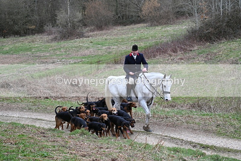 WJ7_7314 - Walk Home