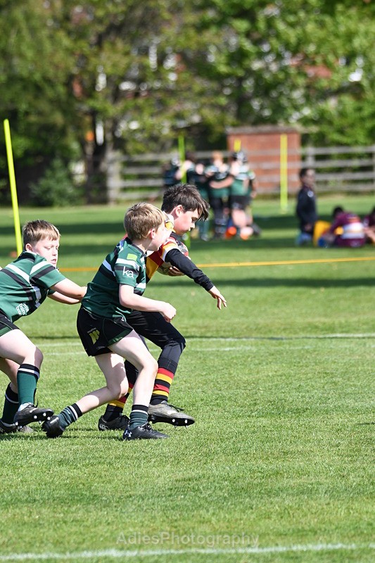  - Selby Rugby Festival 2025