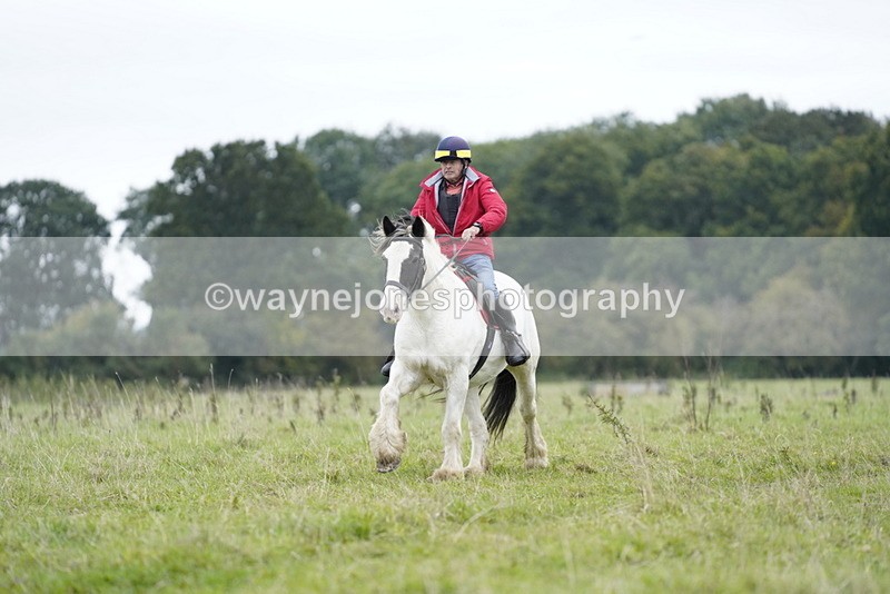 _DSC8665 - Time at Photographer 13:13 to 14:05