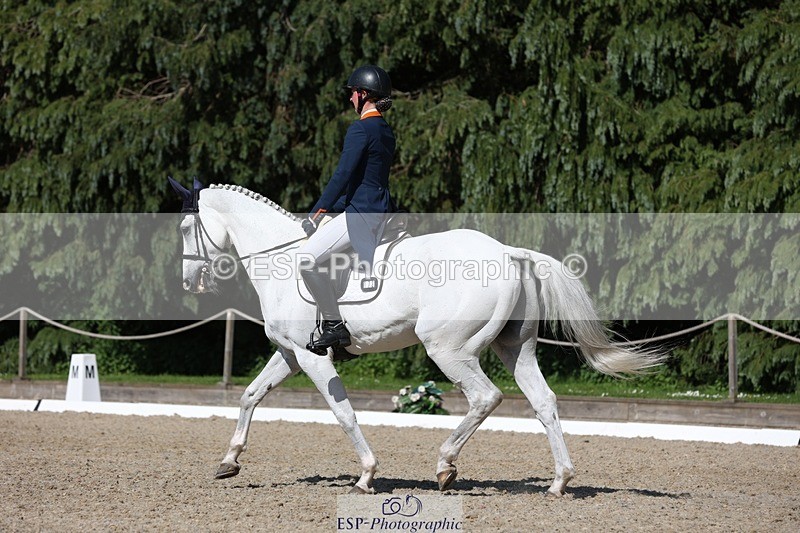 230526-163115-07837 - 172-VELOUMANI_TESS_LY-Aliene_Ruyter-WEDTrotUp+DR