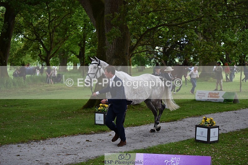 240522-150736-00104 - 369-STARMAN_III-Matthew_Hecking