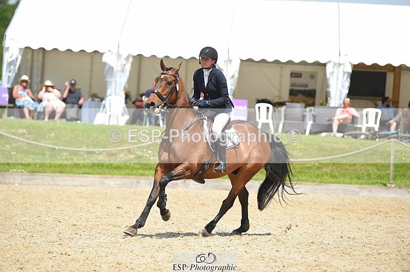 230528-122958-15726 - 373-BENGAL_LORE-Pippa_Taylor-SUNTrotUp+SJ