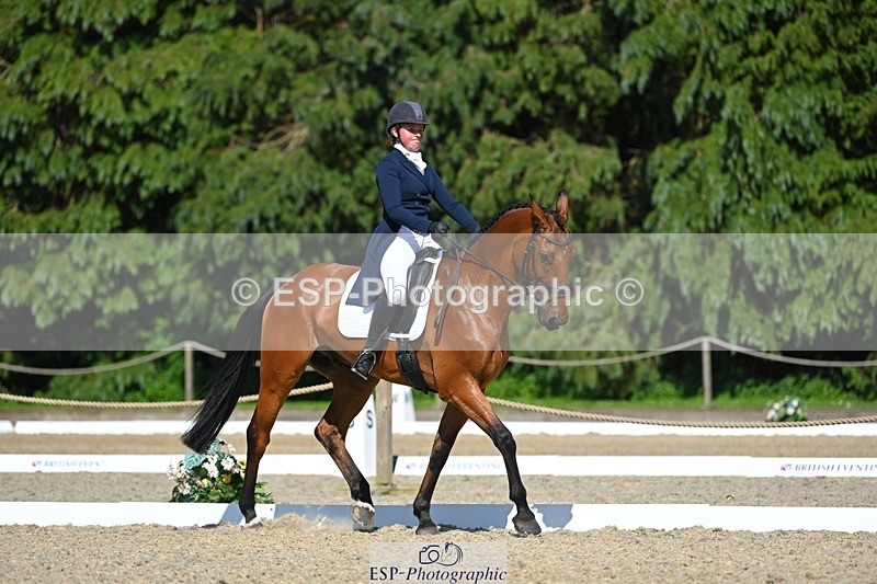 230526-160510-07257 - 253-MY_EASTWOOD_BRIGHTSIDE-Darcy_Zander-WEDTrotUp+DR