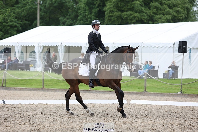 240523-165205-06078 - 235-GREENHALL_JAY-Henry_Hobby