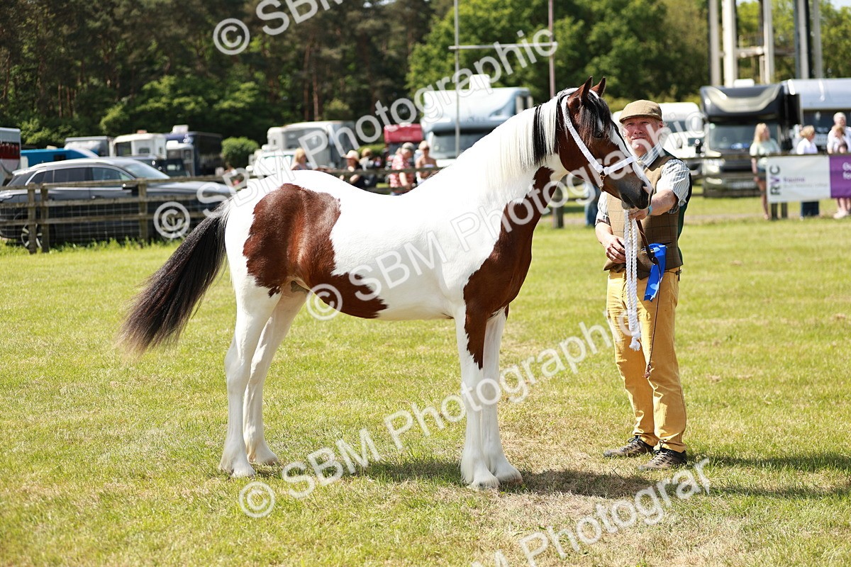 SBM_04268 - Class 39-40 - BSPA Coloured In Hand