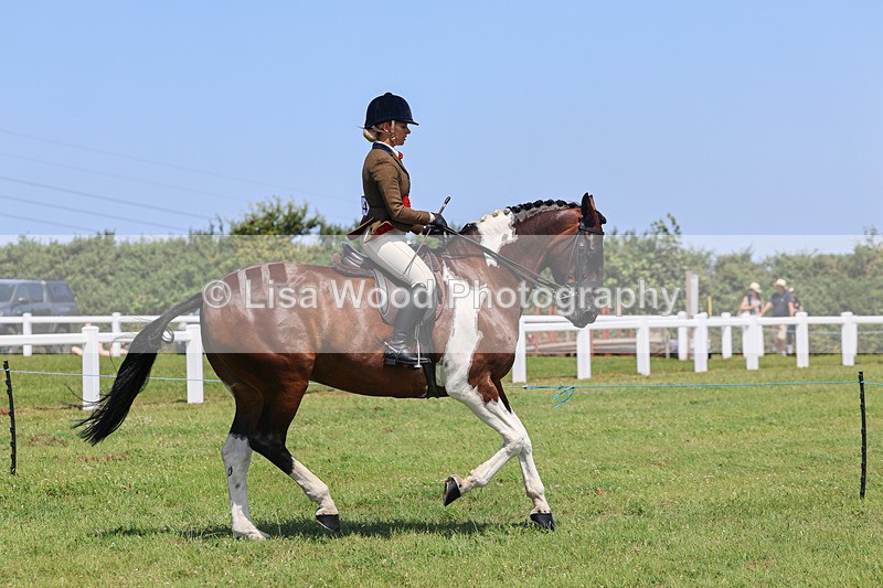 IMG_2570 - Class 38: Veteran Ridden
