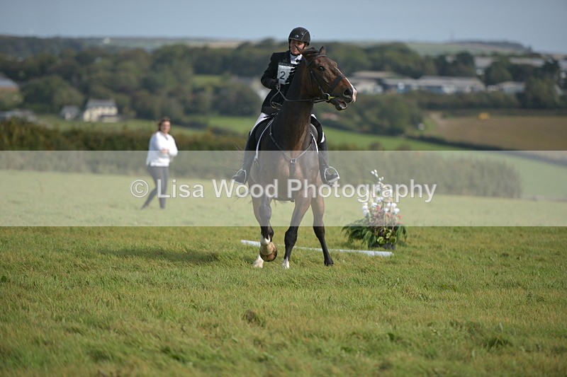 RAY_7906 - Class 2B: Trekenning Open: Dressage