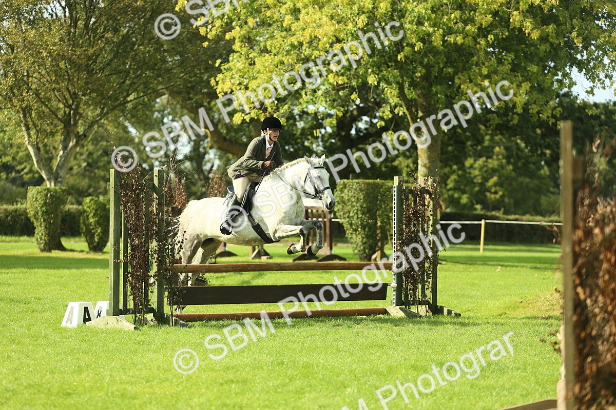 SBM_50645 - S33 - Working Hunter & Working Show Horse