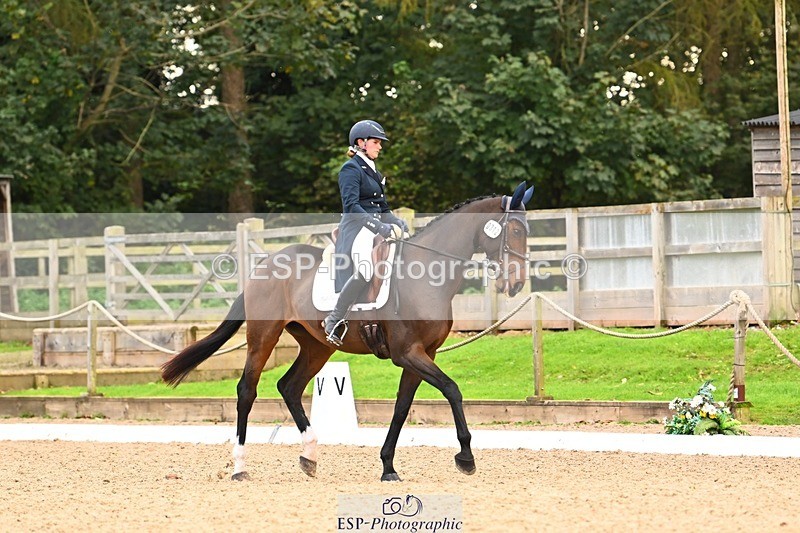 231020-150356-10077 - 312-HALVANNA.THE.LAST.SONG-Holly.Horton-DR