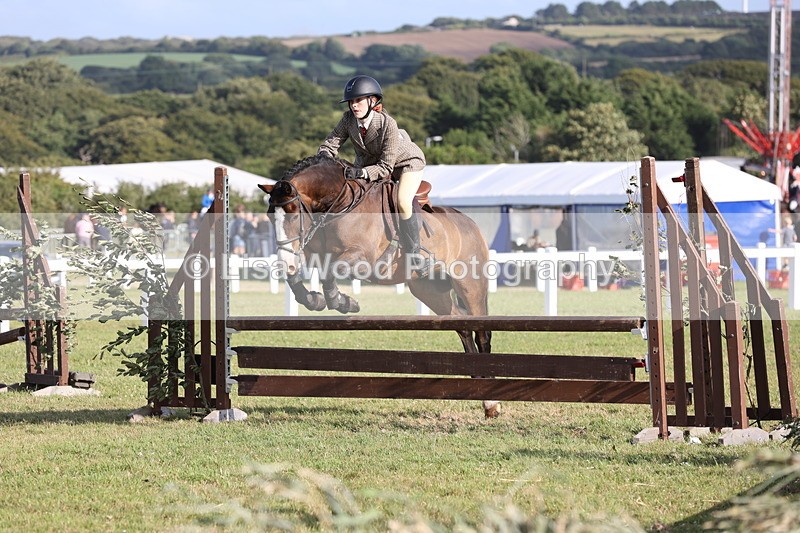 JPP_3234 - Class 21: Working Hunter 80cm