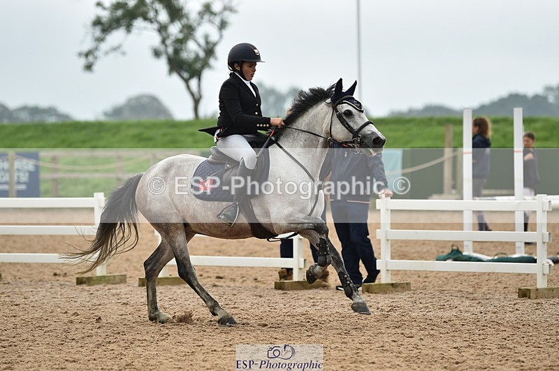 230902A-113016-00729 - Cls 2B Pony Small 80cm