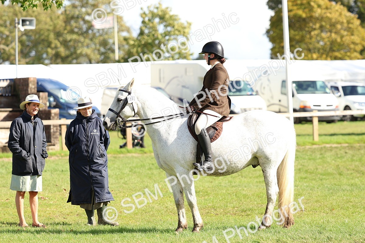 SBM_47769 - S28 - Veteran Ridden