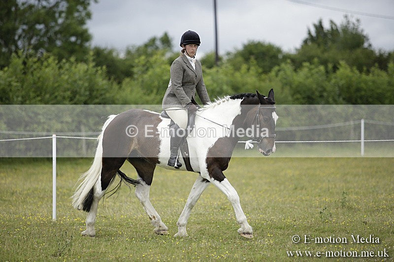 BVR160717-2098 - Ridden Championship 16/07/17