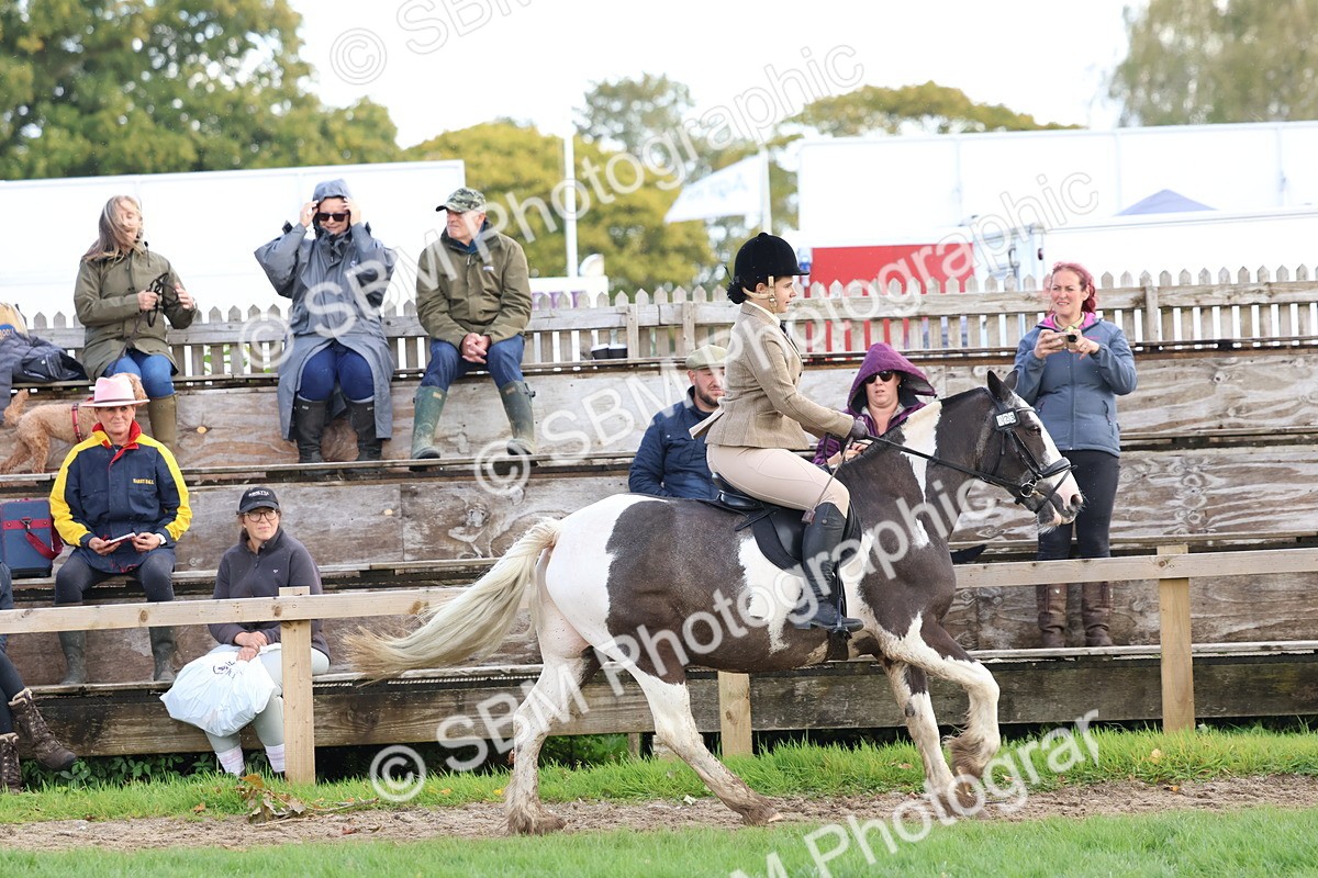 SBM_47648 - S28 - Veteran Ridden