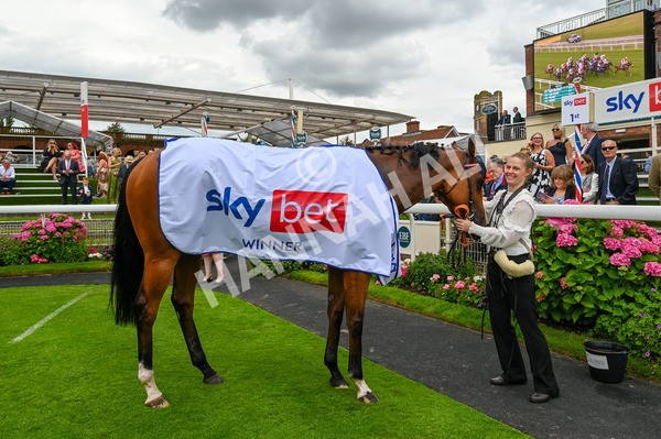 270724-Race 1-Night On Earth-9153 - Race 1 2.05pm Sky Bet 'Jump Jockeys' Nunthorpe' Handicap