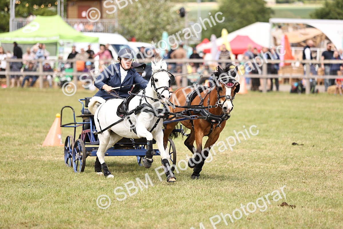SBM_16064 - Class 91 - Scurry  exceeding 122cms