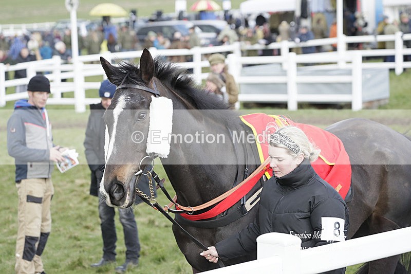 PtP 260323 0862 - New Forest Hounds Point-to-Point Larkhill 26/03/23