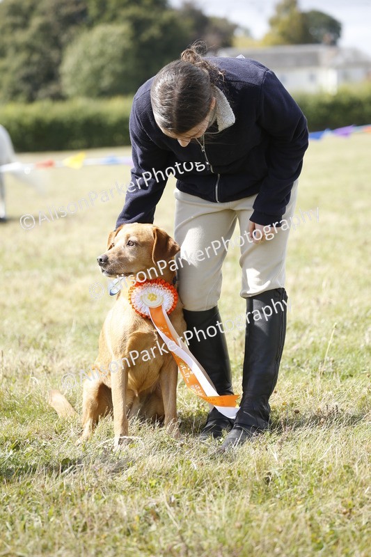 20250831-3805 - Dog Show